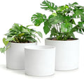 Large Plant Pots Set of 3 – 8 9 10 Indoor Flower Pots with Drainage Holes and Saucers Big Planters for Monstera Fiddle Leaf Fig Snake Plant – 5 Colors
