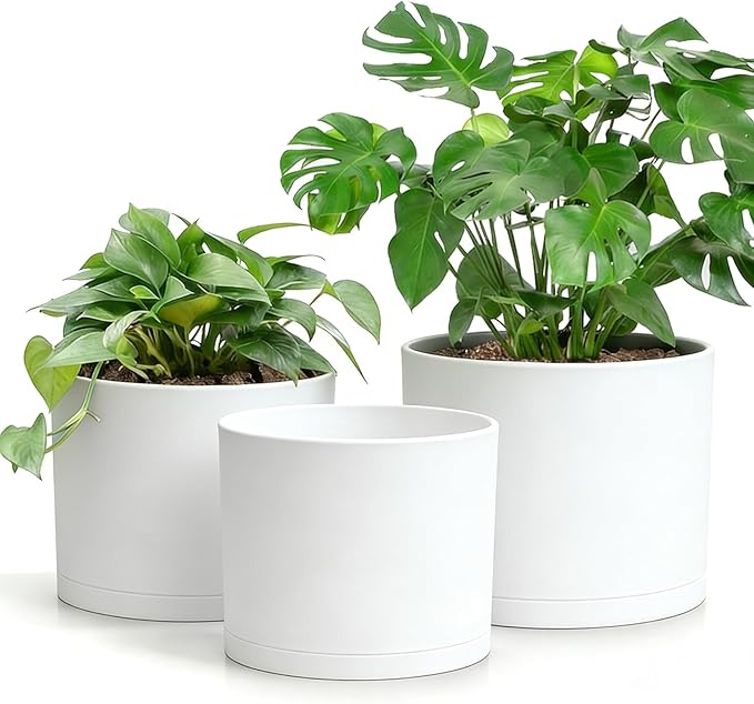Large Plant Pots Set of 3 – 8 9 10 Indoor Flower Pots with Drainage Holes and Saucers Big Planters for Monstera Fiddle Leaf Fig Snake Plant – 5 Colors