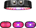 0% - 100% Adjustable Full Spectrum LED COB Plant Growing Lamp Indoor Led Flower Light 1100w