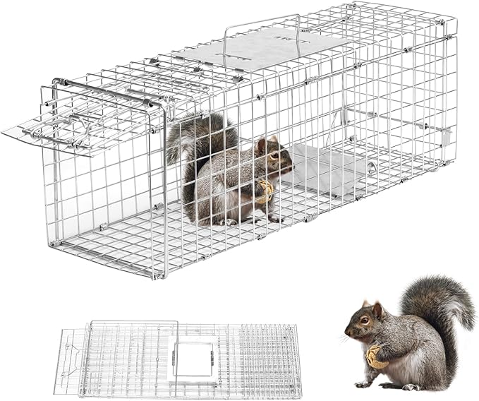 Animal Trap 24x8x7 Cage Trap Heavy Duty Folding Raccoon Traps Humane Cat Trap for Stray CatsRabbitsSquirrelsOutdoor Small Animal TrapHumane Catch &amp Release