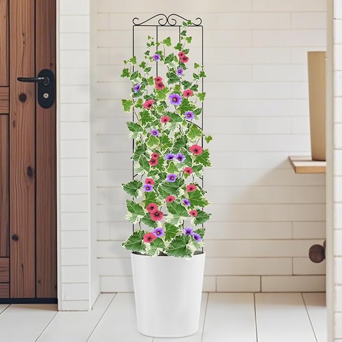 4 Pack 32'' Plant Trellis Indoor - Metal Trellis for Climbing Plants Indoor Garden Trellis for Climbing Plants Outdoor Houseplants Flowers Vine Ivy Rectangular Shape Black