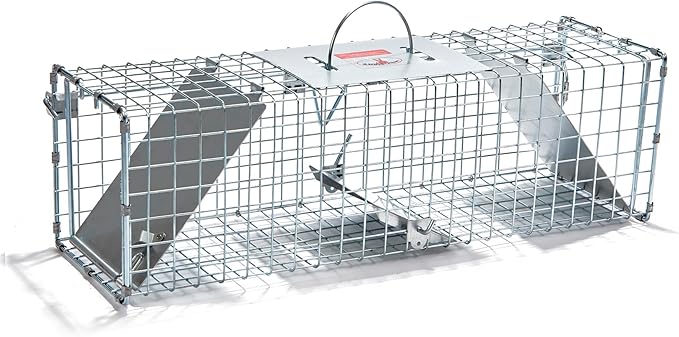 Little Giant® Double Door Live Trap | Animal Traps | Double Door Entry | 24 x 7 x 7