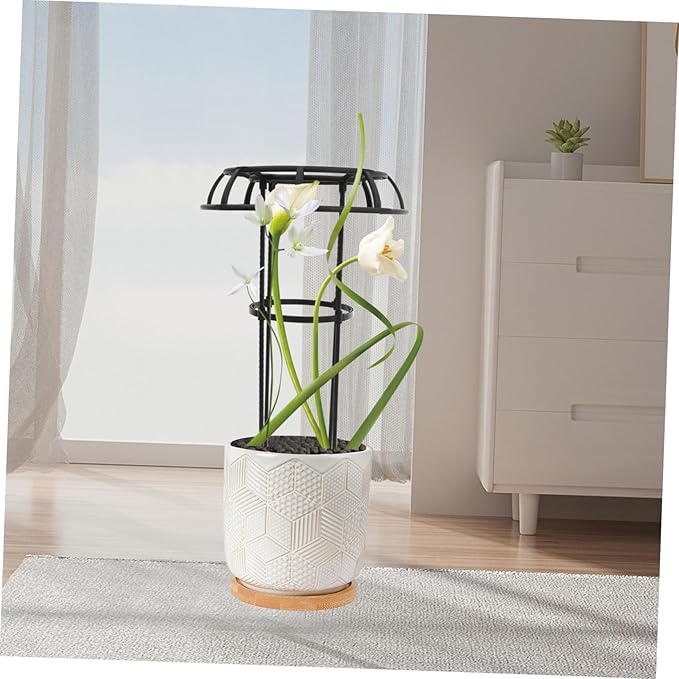 Garden Trellis Climbing Frame for Plants Metal Support Structure for Vines Potted Plant Accessories Decorative Iron Design for Use