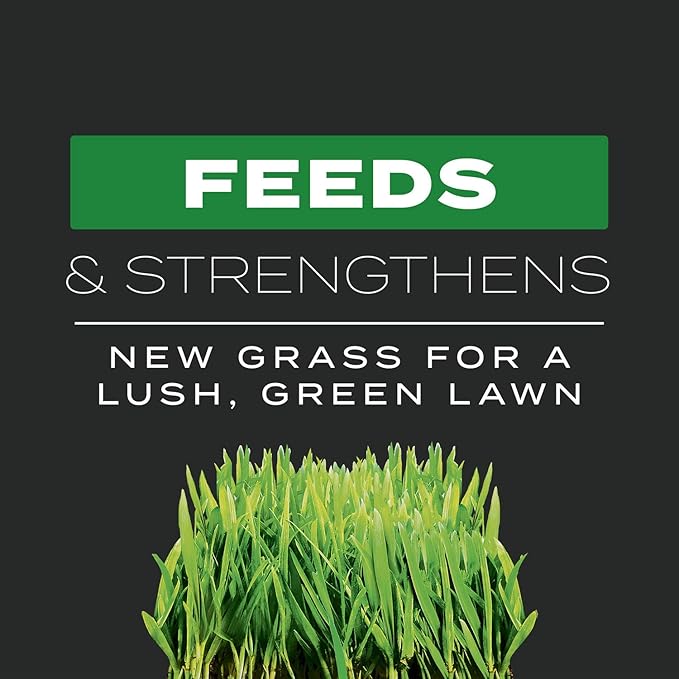 Scotts Turf Builder Triple Action Built For Seeding - Weed Preventer and Fertilizer for New Lawns 1000 sq. ft. 4.3 lbs.