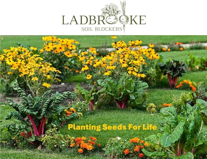 Ladbrooke Genuine Soil Block Maker - Mini 5 Hand Held Made in England