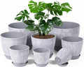 Set of 8 Plastic Planter 10/9/8/7.5/6.5/5.7/5/4inch Plastic Planter Flower Pot Indoor Decorative Large Plant Pot Plant Pots Indoor with Drainage and Saucer for All House Plants (Set of 8)