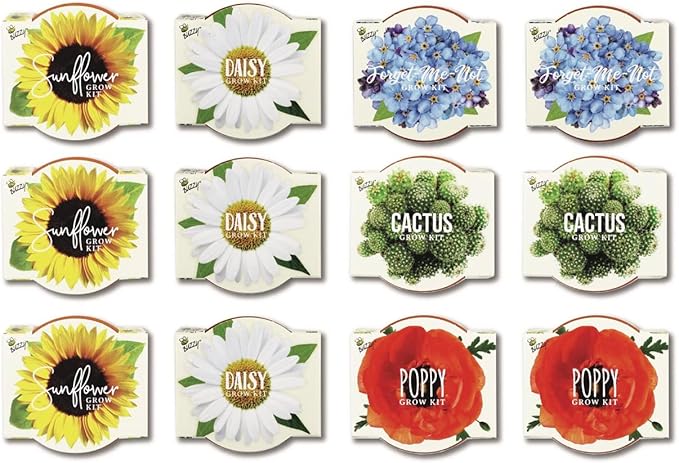 BUZZY Seeds Mini Terracotta Pots 12-Pack with Plant Seeds Poppy Sunflower Daisy Cactus and Forget Me Not All-in-One Seed Starter Kit Indoor Outdoor Gardening Gift Wedding Favors Mother's Day