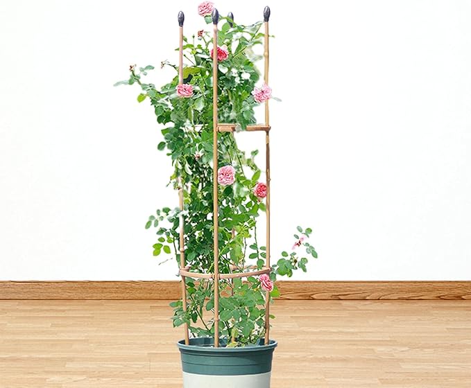 Trellis Climbing Plants 1 PC Thick Plastic-Coated Steel Plant Support Multifunctional Anti-Rust Outdoor Trellis Garden Flower Screen Cucumber Ivy Rose Grape Pea B Lackberry Vine W15*H75CM