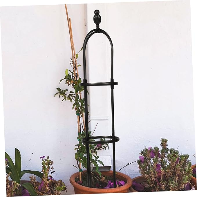 BESPORTBLE Elegant Plant Stakes for Climbing Vines Garden Trellis Strong Support for Potted Plants