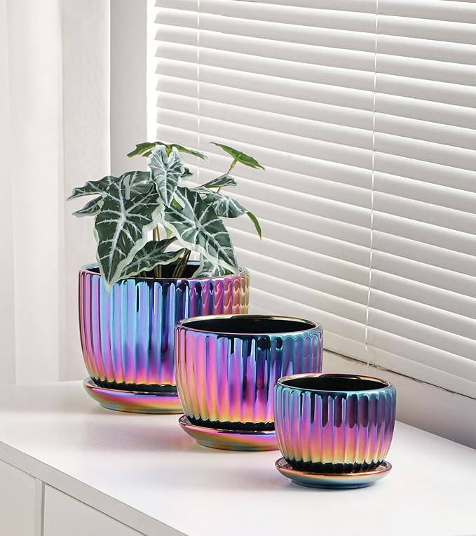 Ton Sin Flower Pots Purple Ceramic Plant Pots Set of 3Small Glazed Succulent Pots with Drainage HoleCactus Planter with SaucerOutdoor Garden Pots (Colorful Gold)