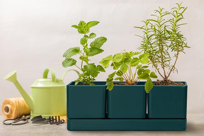 D'vine Dev Herb Garden Planter Set Plastic Plant Pots with Drainage and Saucer Indoor Succulent Cactus Vegetable Pot for Windowsill Garden Balcony Green Set of 1 76-V-C-1
