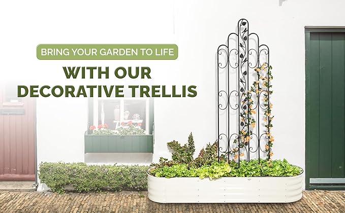 Idzo Decorative Metal Trellis for Climbing Plants Outdoor Anti-Corrosion Powder Coated Garden Trellis Sturdy Long Spikes 71 Inch Black Bird Pattern