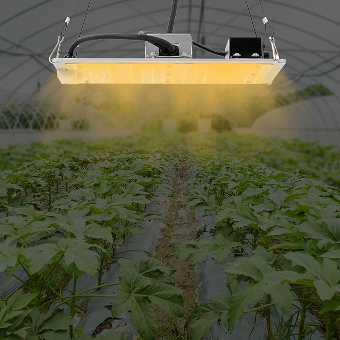 Gdrasuya10 220W LED Grow Light with LM301B LED Light &amp Meanwell ELG Driver Dimmable Full Spectrum Growth Light for 3x3ft Seedling Veg and Bloom Grow