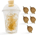 Praying Mantis Ootheca Egg Case with Hatching Habitat Cup (Five Egg Case) - Beneficial for Stem Education and Gardening Egg Case Produces Approximately up to 400 Baby Nymphs (T Sinensis)