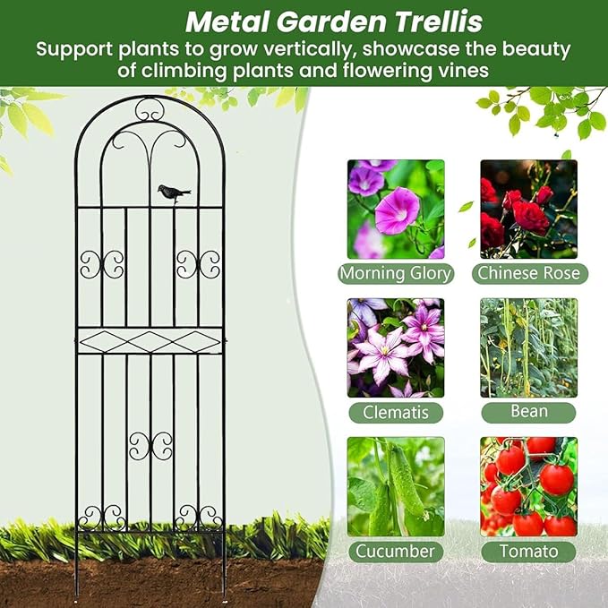 Bird Design Garden Trellis Metal Wall Climbing Plant Support Trellis Frame for Garden Climbing Vines Flowers Black/White(White220cm/86.6in)