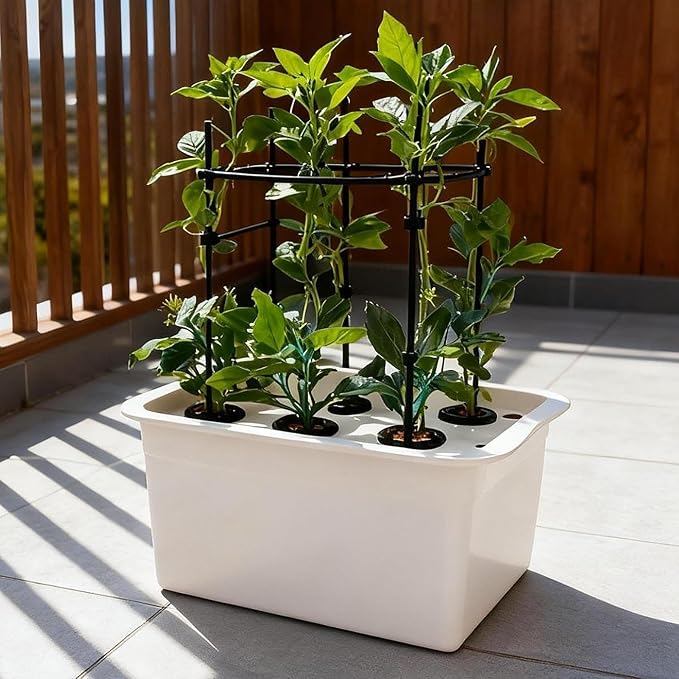 Hydroponic Growing Box Self Watering Soilless Cultivation Equipment Aerated Garden Cabinet Box for Lettuce Vegetables Suitable for Family Gardening Pa