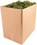SuperMoss (21705 Forest Moss Dried Natural 5lbs
