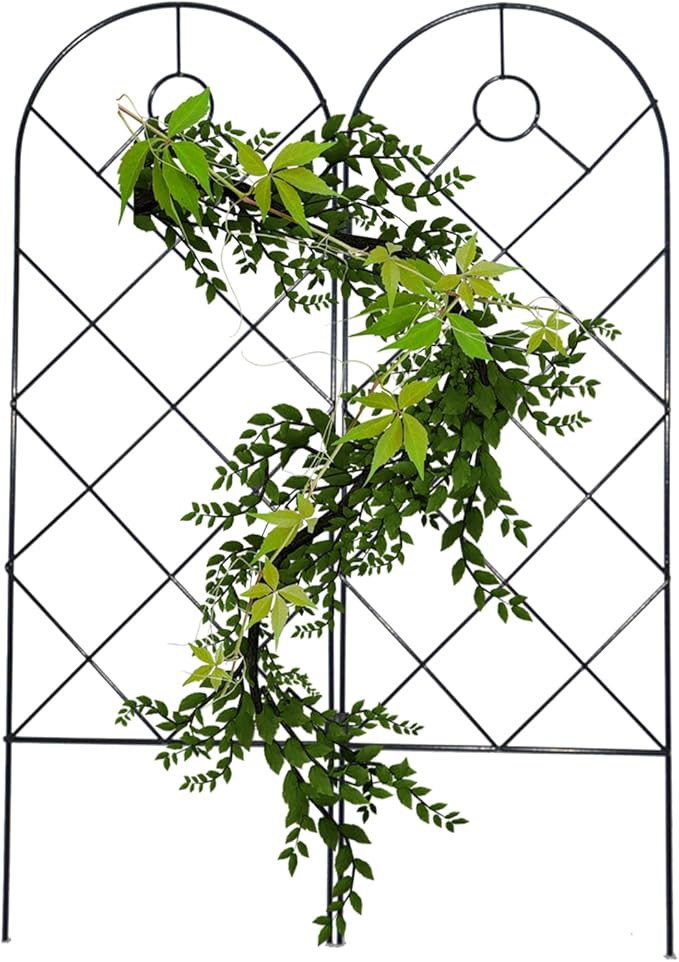 Garden Trellis for Climbing Plants for Climbing Plants Metal Rustproof Plant Support Trellis for Potted Plants for Climbing Plant Flower Rose Clematis Morning Glory Peony (2)