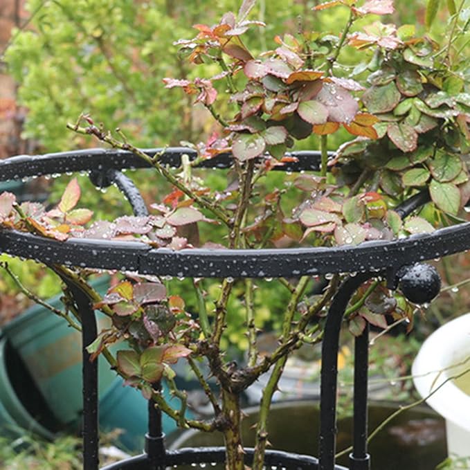 Indoor Plant Trellis | Umbrella Shape Single Plants Support - Garden Metal Trellis for Potted Plants 72.8in Outdoor Flower Support for Vine Ivy Flower Plant