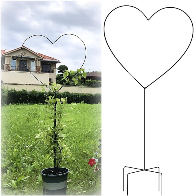 Heart-Shaped Garden Trellis for Climbing Plants 104cm/41 Iron Plants Climbing Holder Rack for Decorative Potted Plants Flowers Indoor Otdoor (Color : Black Size : 104x42cm/41x16.5in)