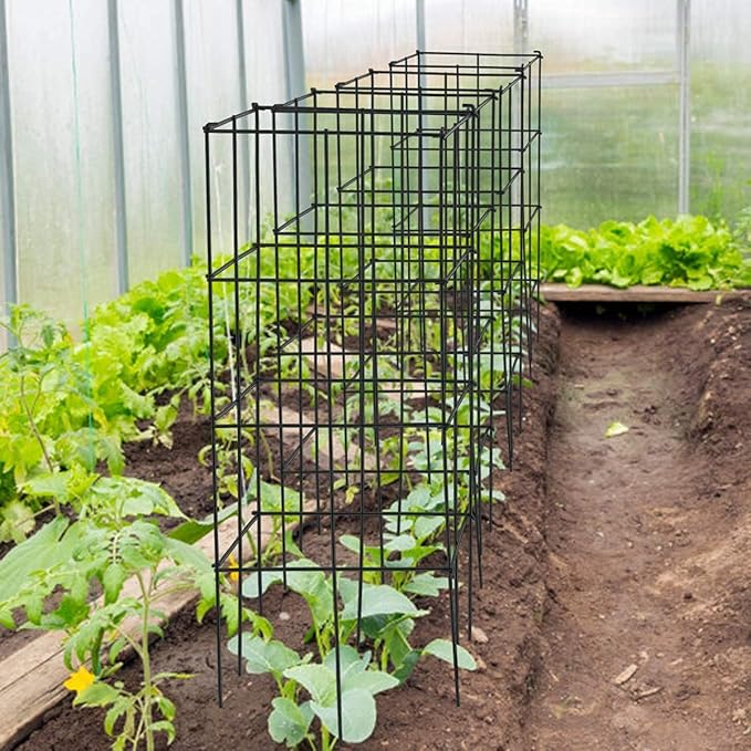 GRAFFY Pack of 4 Plant Cage Support Folding Tomato Cage Standing Metal Shelf for Climbing Plants 4 Pack of Tomato Trellis Plant Bed for Flower Vegetable &amp Fruit Suitable for Garden &amp Pati