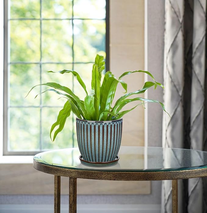 Oairse Ceramic Pots for Indoor Plants 4.9 +5.7 inch Pots for Plants Set of 2 Marble Blue Plant Pots with Drainage Holes and Saucers Texture Ceramic Planters Indoor Outdoor Flower Pots for Succulent