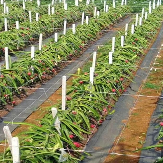 Weed Control Film Geotextile Fabric Weed Control Membrane for Ground Cover Weed Control Cloth Landscaping(0.61x91m/2x300ft)