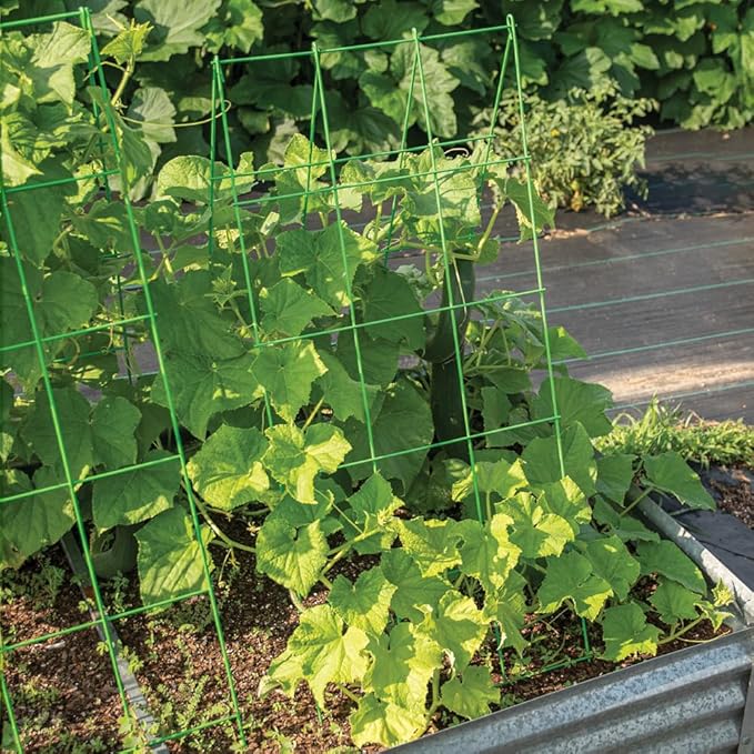 A-Frame Garden Trellises Green Pack of 2 Trellises