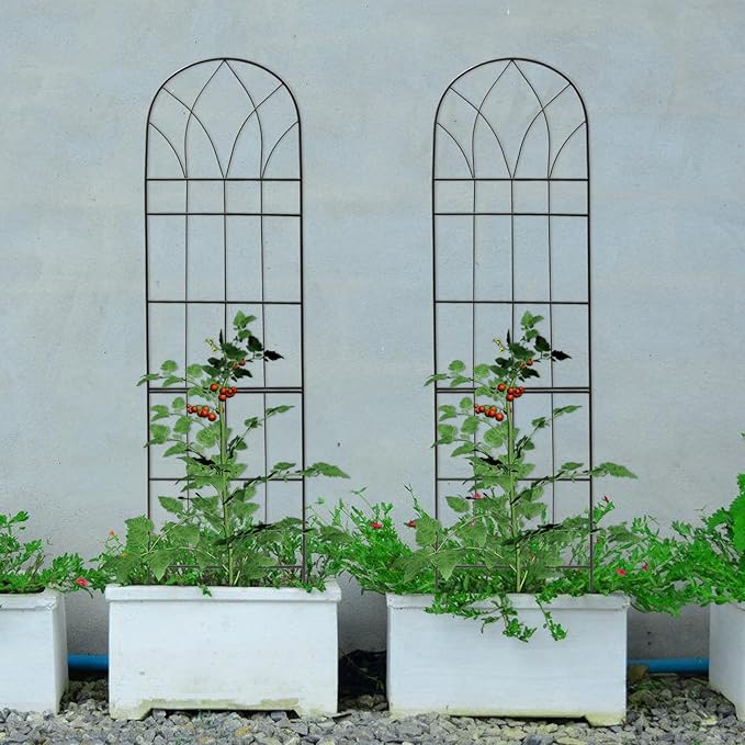 2 Pcs Garden Trellis for Climbing Plants Outdoor 58 x 15 Cucumber Trellis Rustproof Metal Trellis for Tomatoes Vines Flower Beds Roses