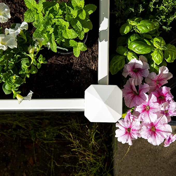 Barton Raised Garden Bed 48.25 x 48.25 x 13.25' Outdoor Above Ground Garden Planted Bed Growing Flowers Vegetables Herbs DIY Gardening Projects