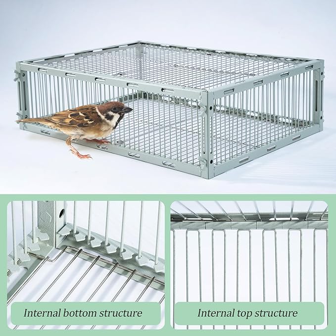 Bird Trap Cage with Escape-Proof Bird Traps for Small Birds Live Sparrow Trap Portable Easy Assembly and Unharmful.Made of lron with Anti-Rust Paint A3