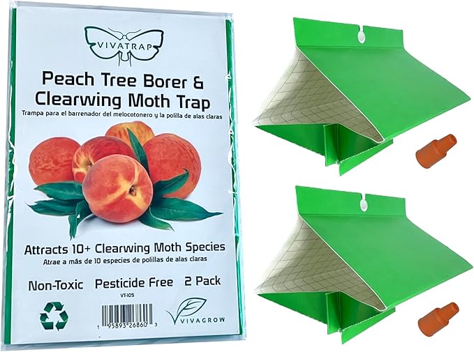 VivaTrap VT-105 Peach Tree Borer + Clearwing Moth Trap &amp Lure (2 Pack 8 Week)