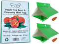 VivaTrap VT-105 Peach Tree Borer + Clearwing Moth Trap &amp Lure (2 Pack 8 Week)