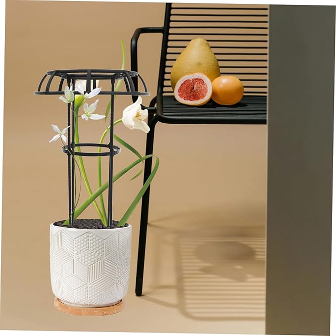 Mipcase Metal Trellis Plant Support Rack Garden Trellis for Potted Plants Sturdy Climbing Flower Stand Fixing Rod
