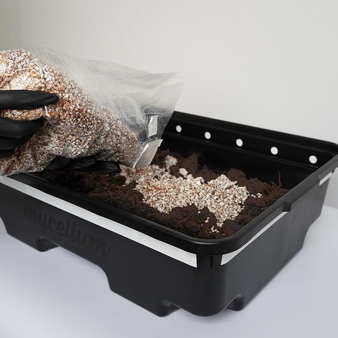Mycelium CVG Substrate | 2-Pack (10 lbs Each) Pre-Sterilized Bulk Mushroom Substrate with Coco Coir Vermiculite &amp Gypsum | Ideal for Dung-Loving Mushrooms | Ready to Use Organic &amp High-Yield