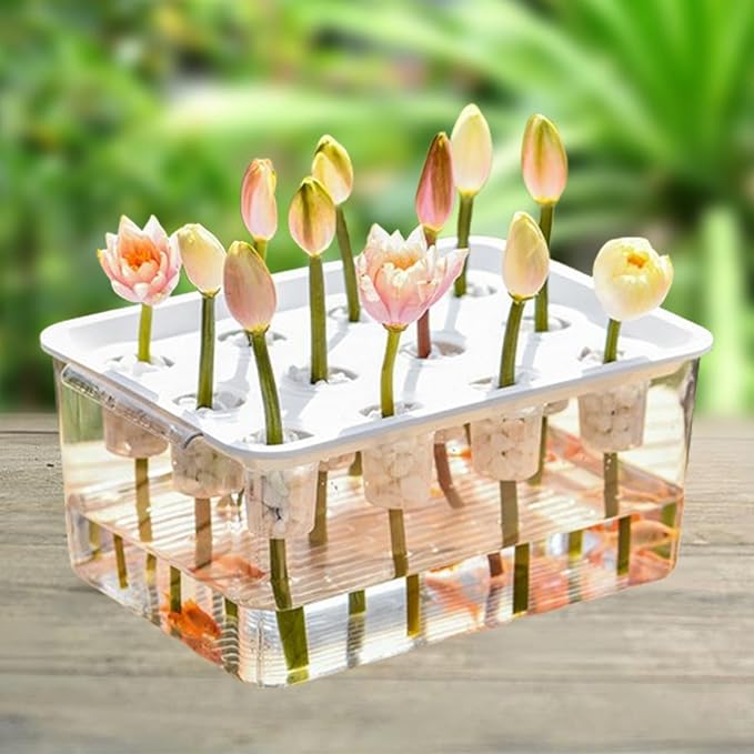 Indoor Hydroponics Tool Hydroponics Grower Kit Rectangular Sturdy 12 Hole Microgreens Growing Kit for Indoor Vegetables Home White Lid