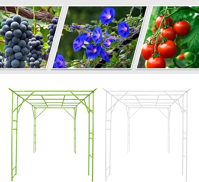 Plant Climbing Stand 9.8x6.6x7.5ft Large Outdoor Plant Trellis for Climbing Plants Heavy Duty Steel Garden Arch with Anti-Slip Feet for Tomatoes Cucumbers Flowers (Green+White)