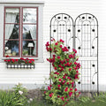 Sturdy Powder-Coated Metal Garden Trellis for Climbing Plants – Rust-Resistant Outdoor Flower Support with Elegant Lattice Design (2 Pack-Black)