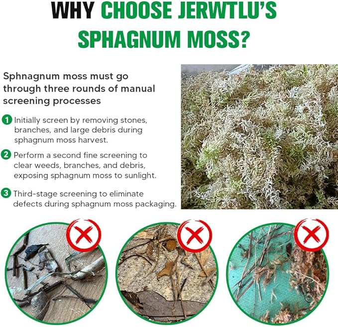 Natural Long Fiber Sphagnum Moss 42QT for Orchid Potting Mix and Moss Pole for Plants Indoor. Ideal for Propagating Plants Maintaining Humidity for Reptiles Isopods in Paludarium Aquascape (12 OZ)
