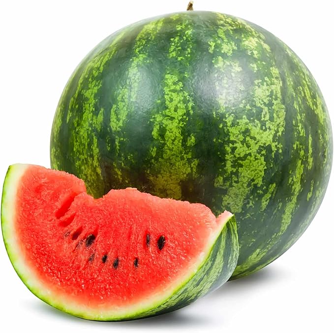 Watermelon Garden Seeds - Shiny Boy Hybrid (Treated) - 100 Seeds - Non-GMO Vegetable Gardening Fruit Melon Seed