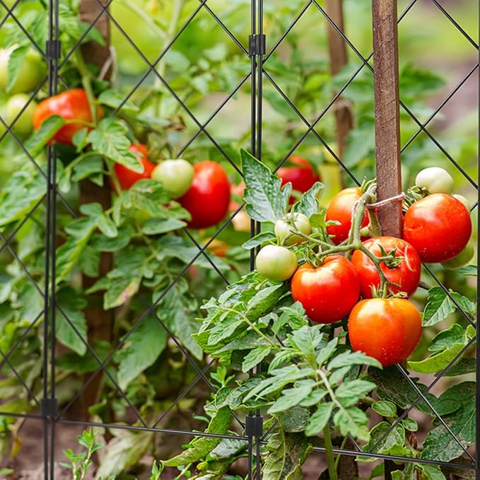 2pcs Multifunctional Foldable Iron Vine Plant Trellis for Climbing Plants Outdoor Garden Support Stakes Suitable for Tomatoes and Vegetables