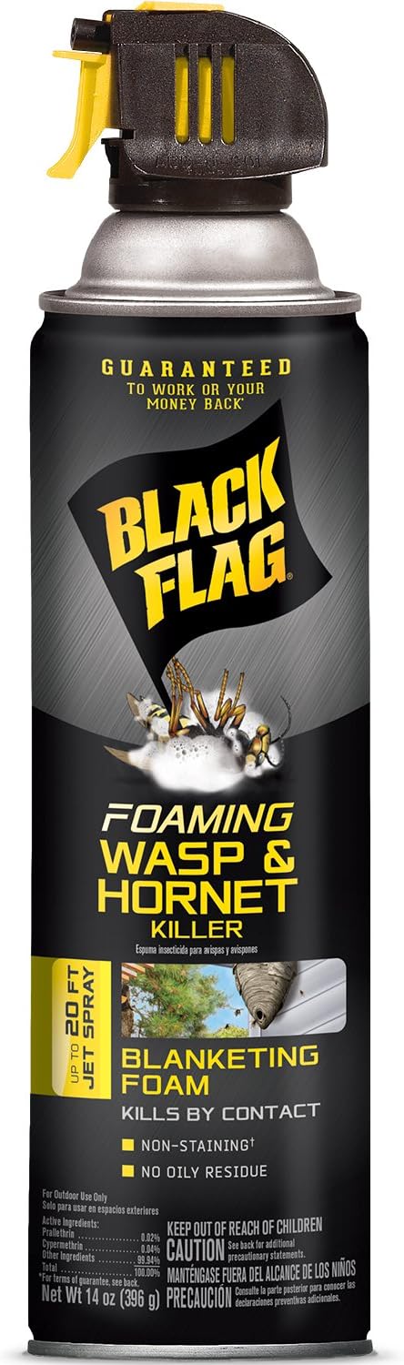 Black Flag Foaming Wasp and Hornet Killer 14 Ounces Aerosol Insecticide Spray 12 Pack