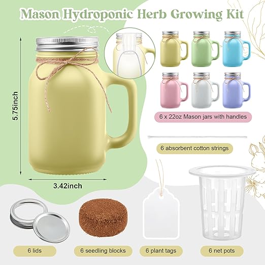 Vesici 6 Set Hydroponic Mason Garden Jar Kit Self Watering Herb Hydroponic Planter Starter Kit with Net Pot for Indoor Herbs Windowsill Garden Flower Plant Growing Germination