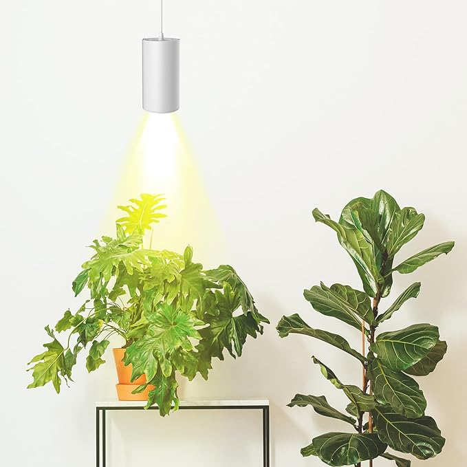 STERREN Pendant Grow Lights30W Full Spectrum Plant Light with On/Off Switch Auto Timer White Plug in Hanging Lights for Indoor Plants with 21 FT Height Adjustable Power Cord