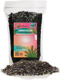 Gardenera Zamioculcas Potting Mix - Promote Strong Roots and Captivating Foliage with Our Premium Blend - 4 Quart