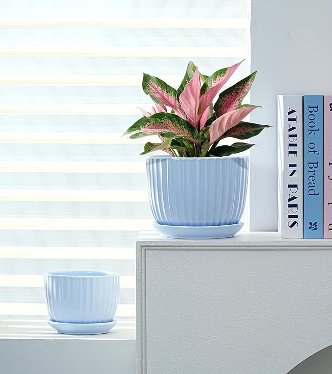 Ton Sin Sky Blue Ceramic Flower Pots 4+5+6 Inch Small Succulent Planters with Drainage HoleModern Indoor Decorative Plant Pots Set of 3Garden Pots with Saucer(Blue)