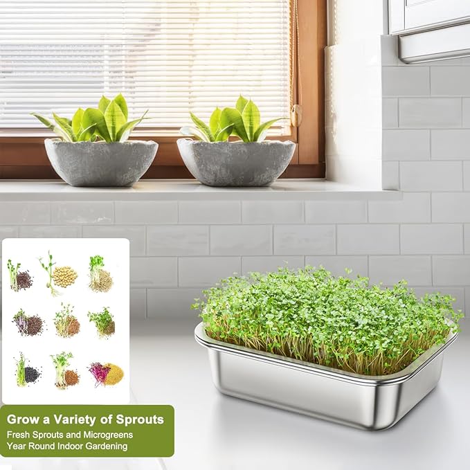 FANHAO 2-Pack Sprouting Tray Kit Stainless Steel Soil-Free Cultivation Germination Tray Healthy Wheatgrass Grower Sprouting Container Kit Nursery Tray for Indoors Plant Seedling