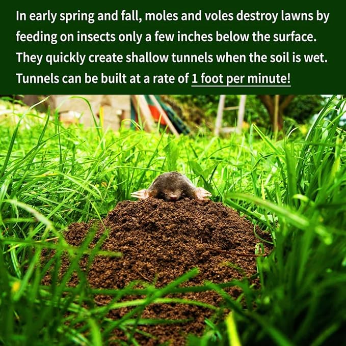 Nature's MACE Mole &amp Vole MACE – Yard &amp Garden Granules Castor Oil Formula Outdoor Use Plant &amp Pet Safe 352 Fl Oz (Pack of 1)