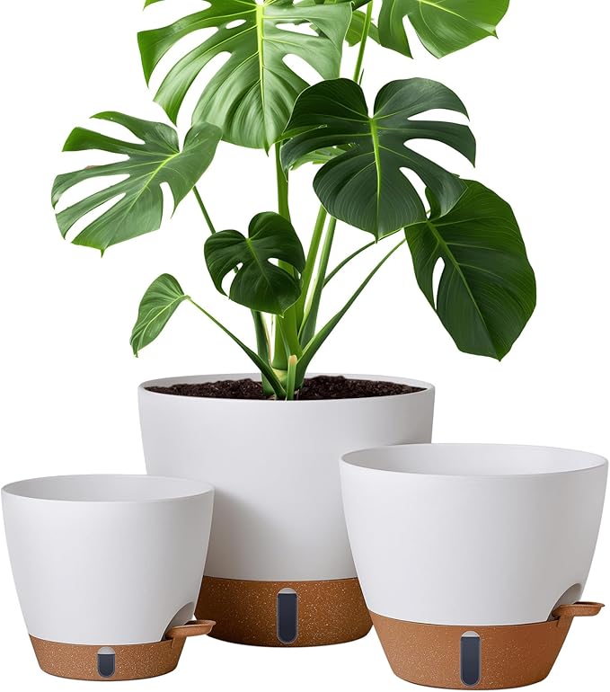 montresor 12/10/8 Inch Self Watering Pots for Indoor Plants Plastic Large Pot for Outdoor Plants Water Level Window &amp Spacious Reservoir Flower Pots Decorative Planter with Drainage and Tray (Whi