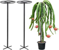 60-Inch Dragon Fruit Trellis - 2 Durable Metal Supports for Climbing Plants Easy to Assemble Outdoor Garden Trellis for Dragon Fruit Enthusiasts